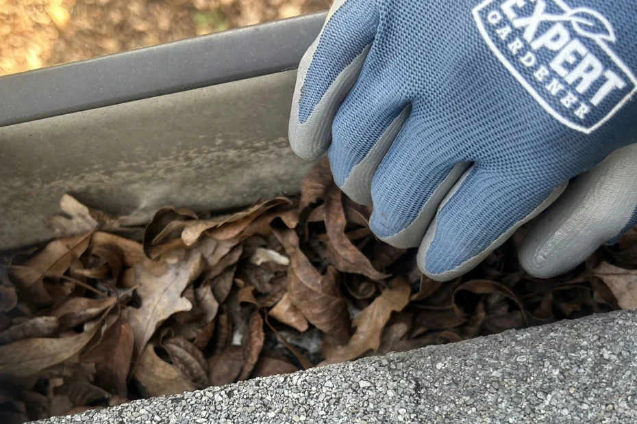 Gutter Cleaning Burnt Store Marina